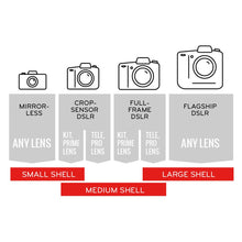 Load image into Gallery viewer, Shell

